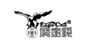 鷹金錢(qián)
